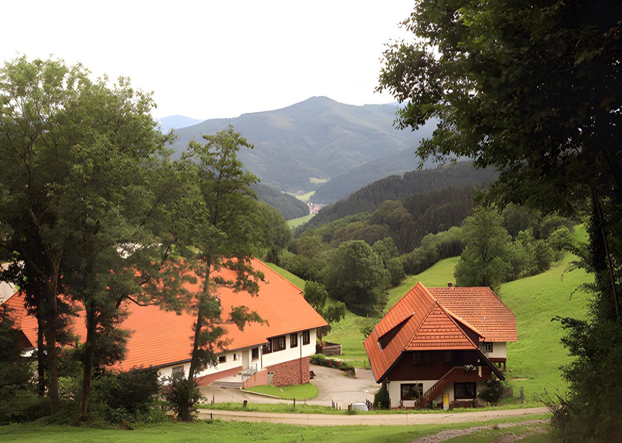 Neuenbach Uhlhof 아파트 외부 사진